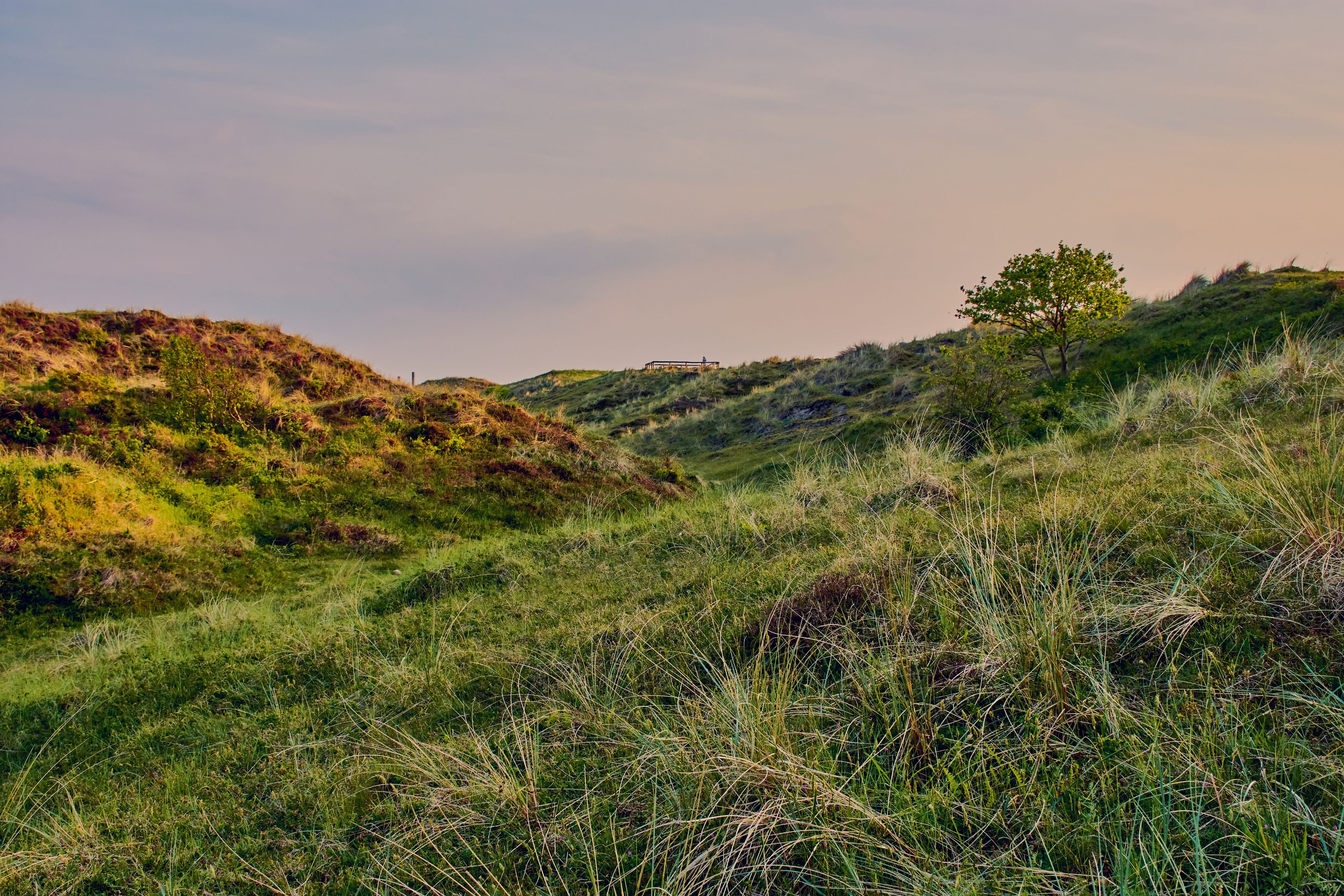 Umgebung