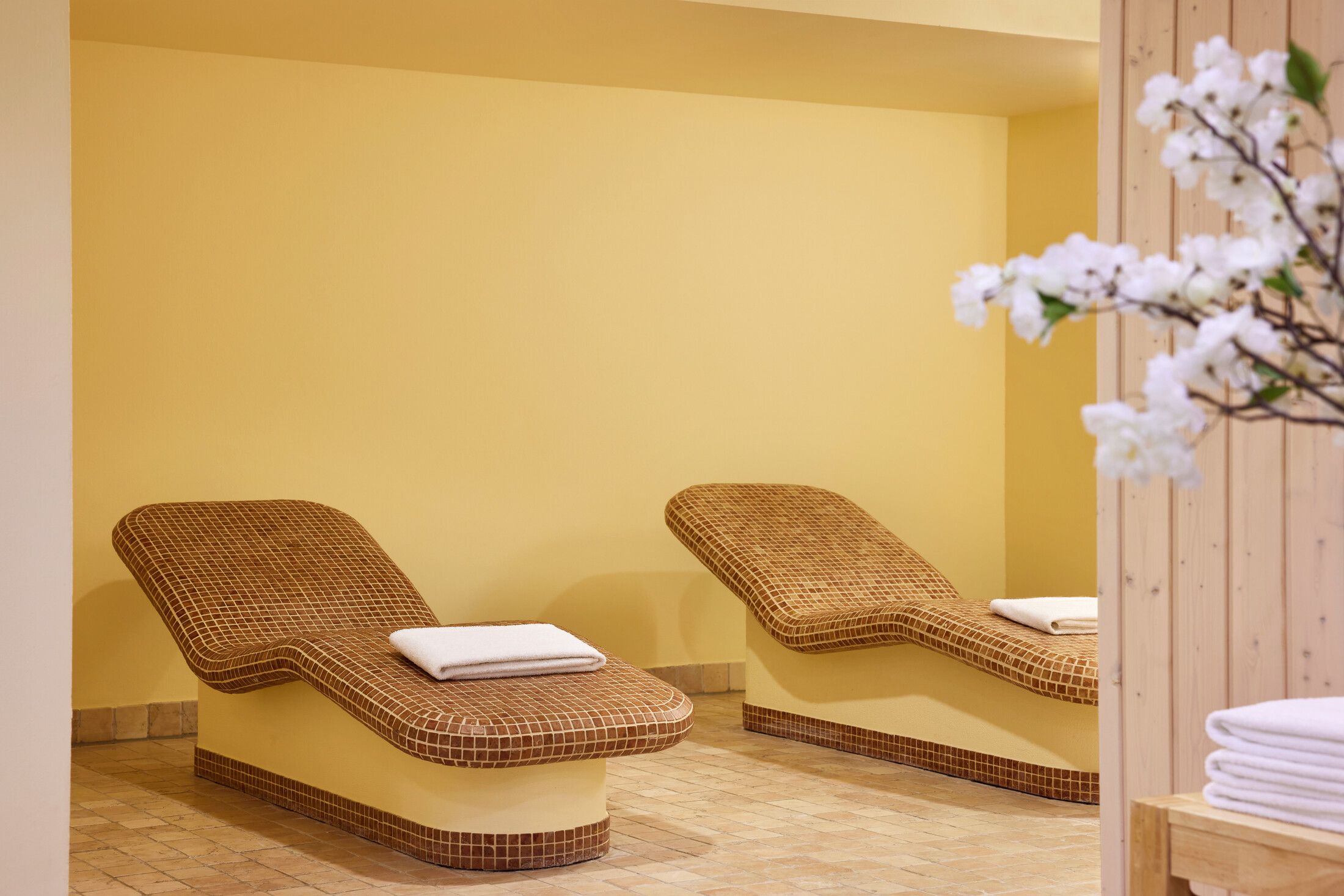 Wellness