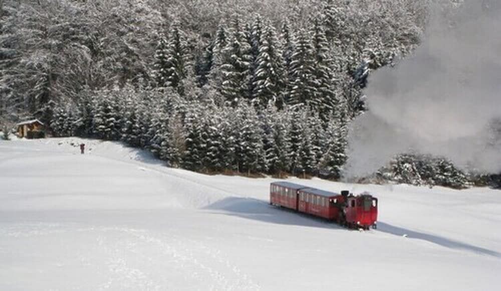 Allgemein