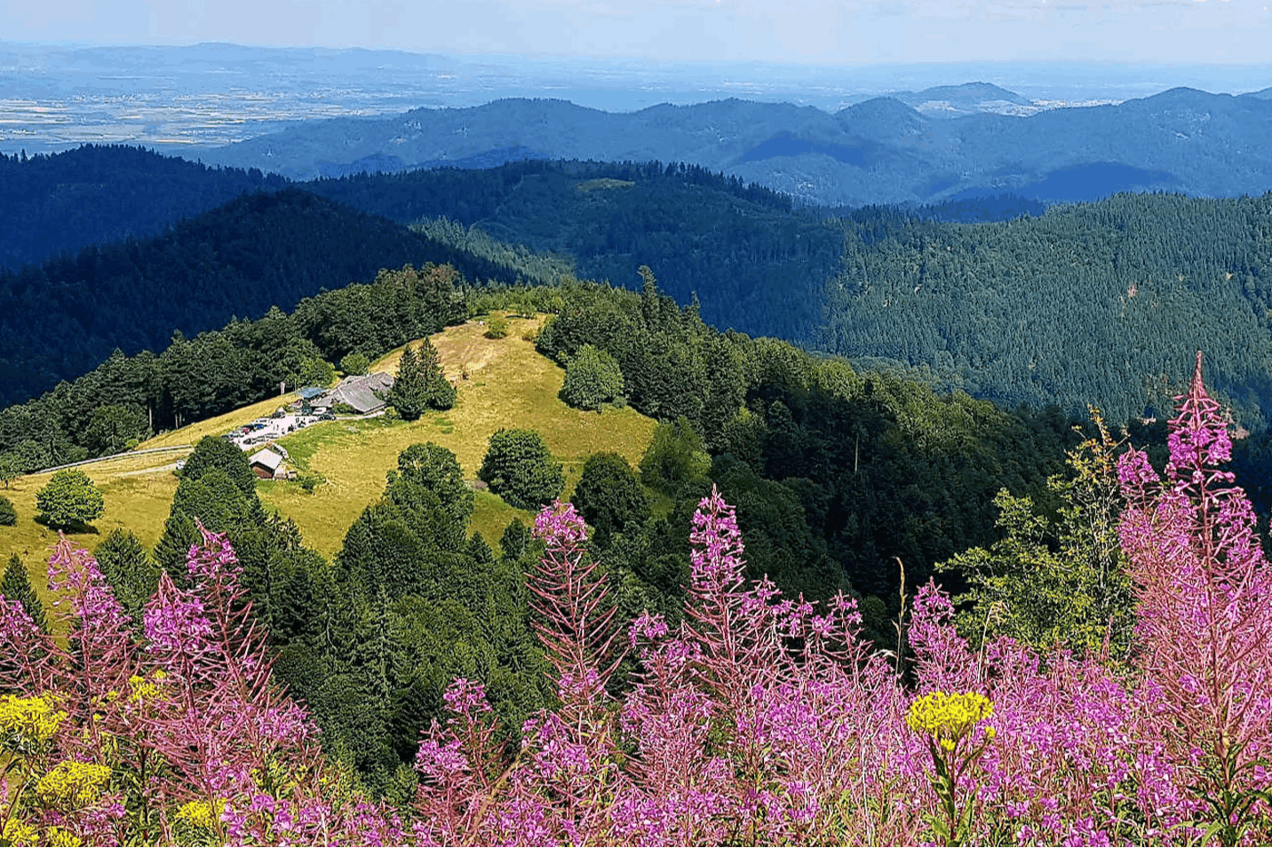 Umgebung