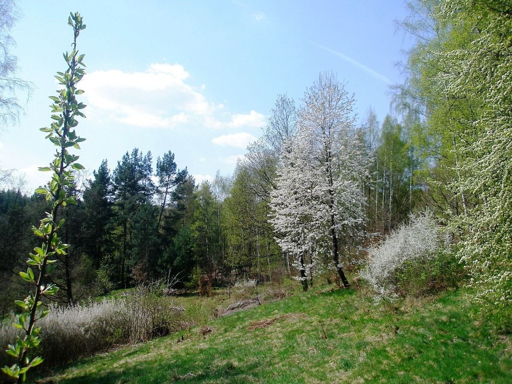 Allgemein