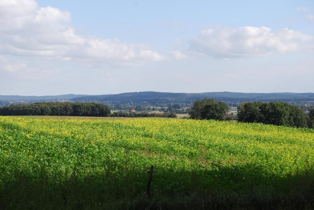 Umgebung