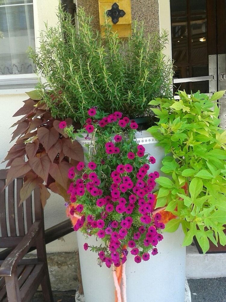 Allgemein
