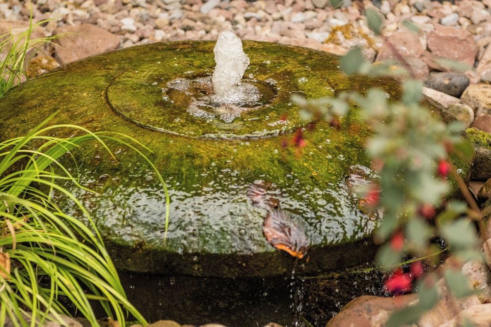 Allgemein