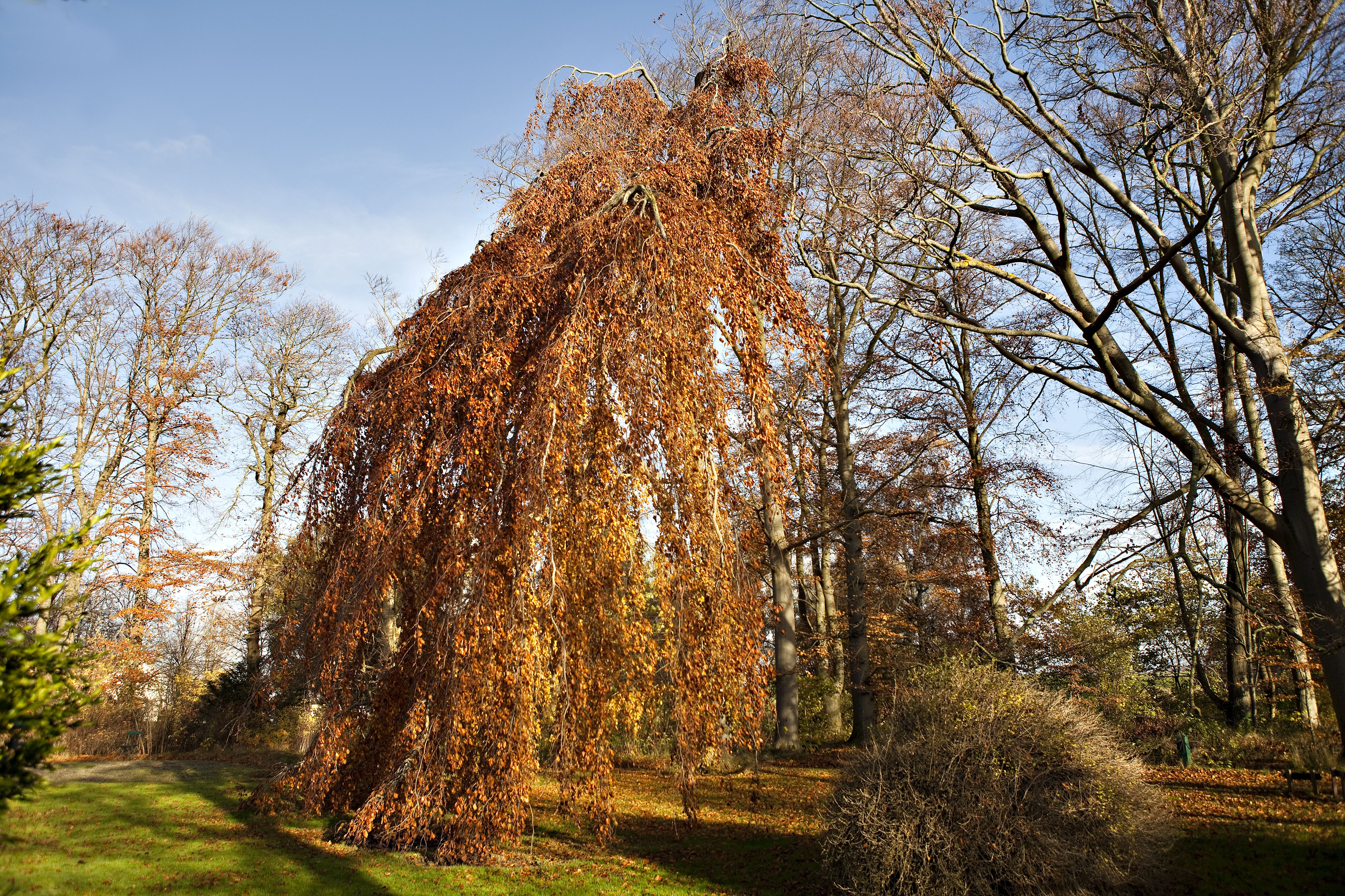 Umgebung