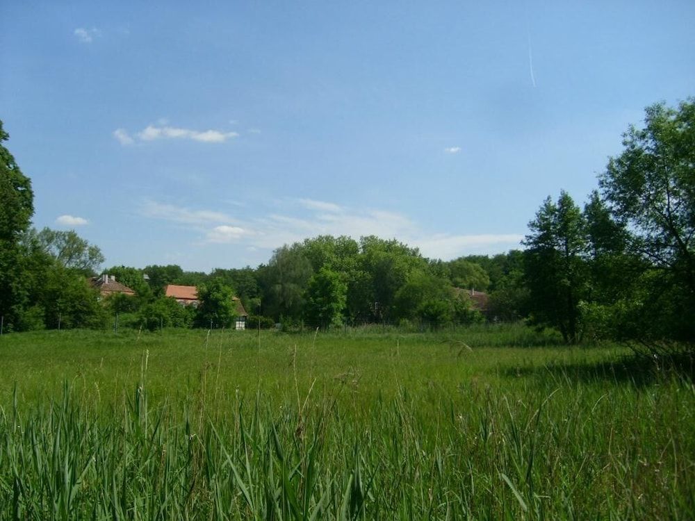 Allgemein