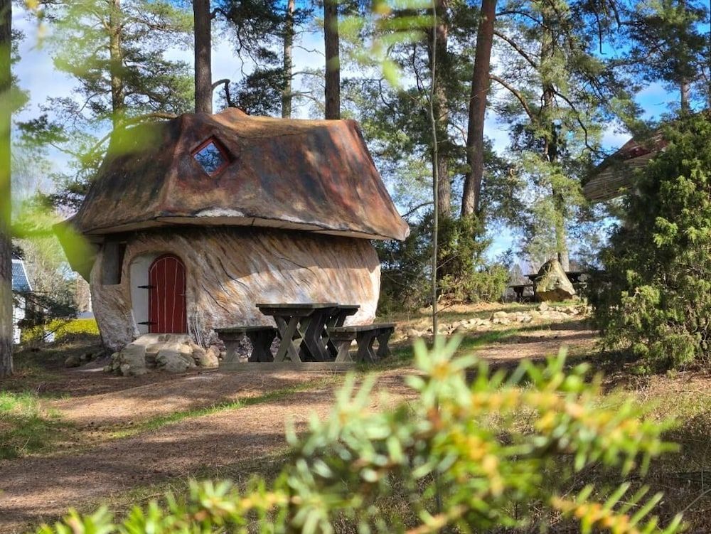 Bild von Familien-Baumhaus
