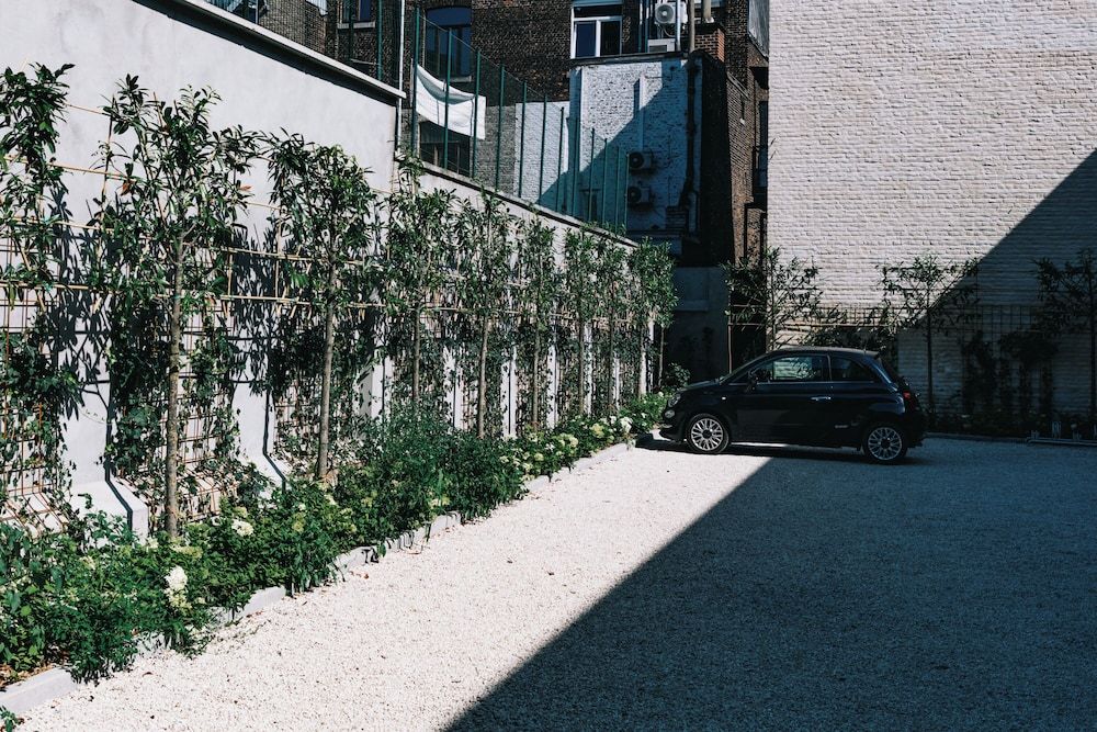 Allgemein