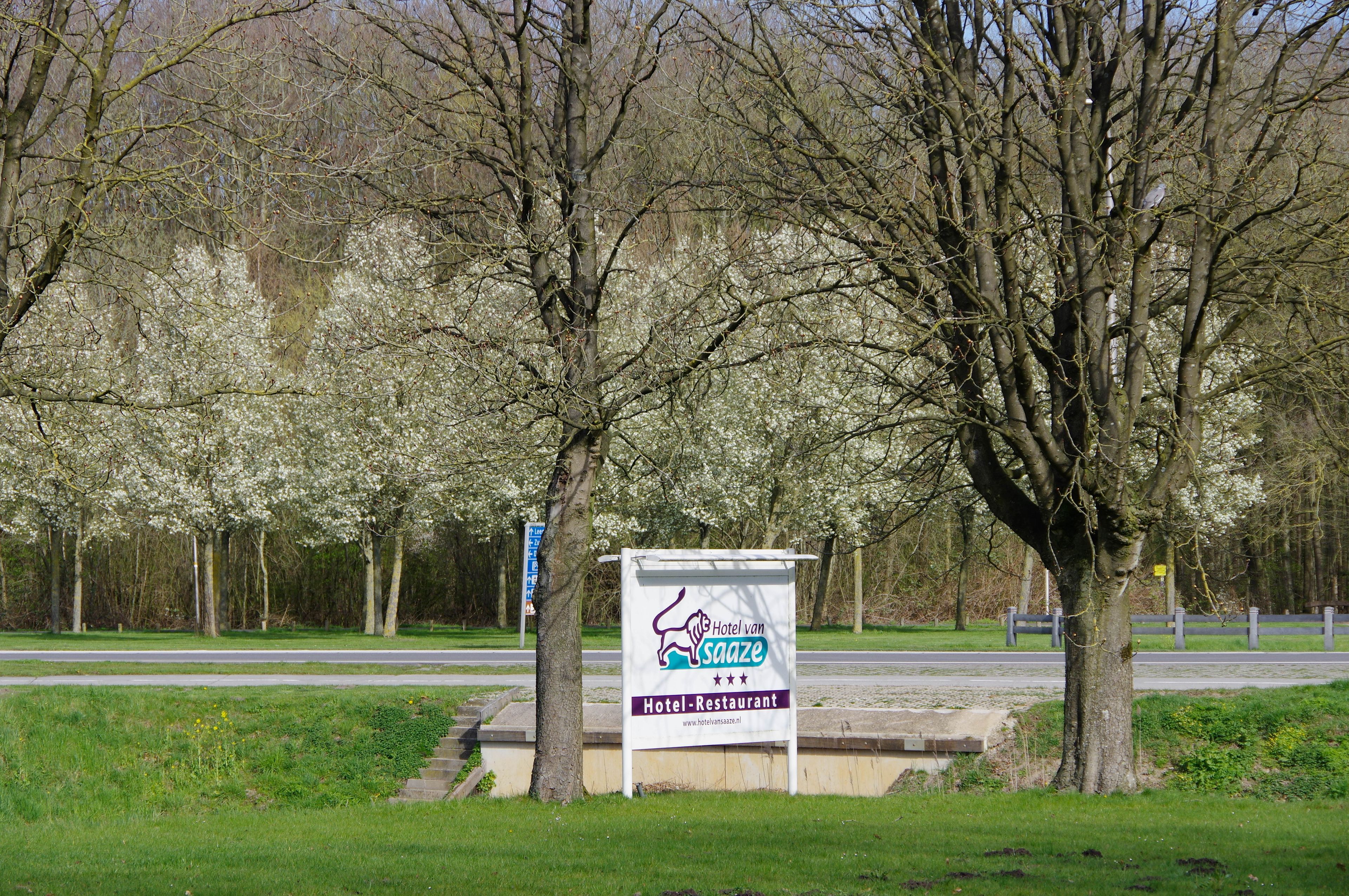 Umgebung