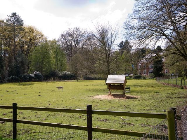 Umgebung