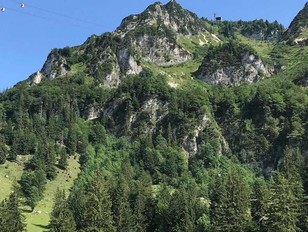 Allgemein