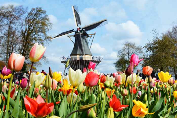 Keukenhof Hotel finden