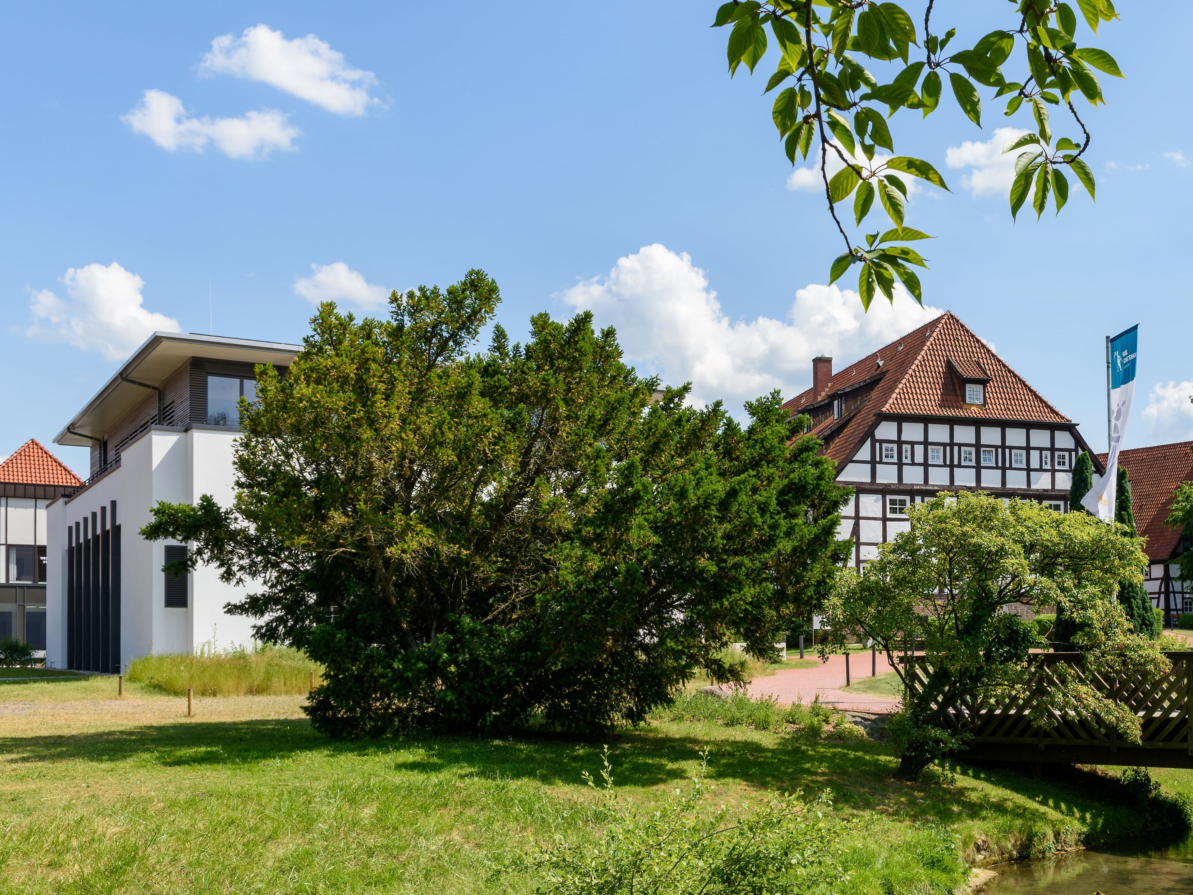 Hauptbilder