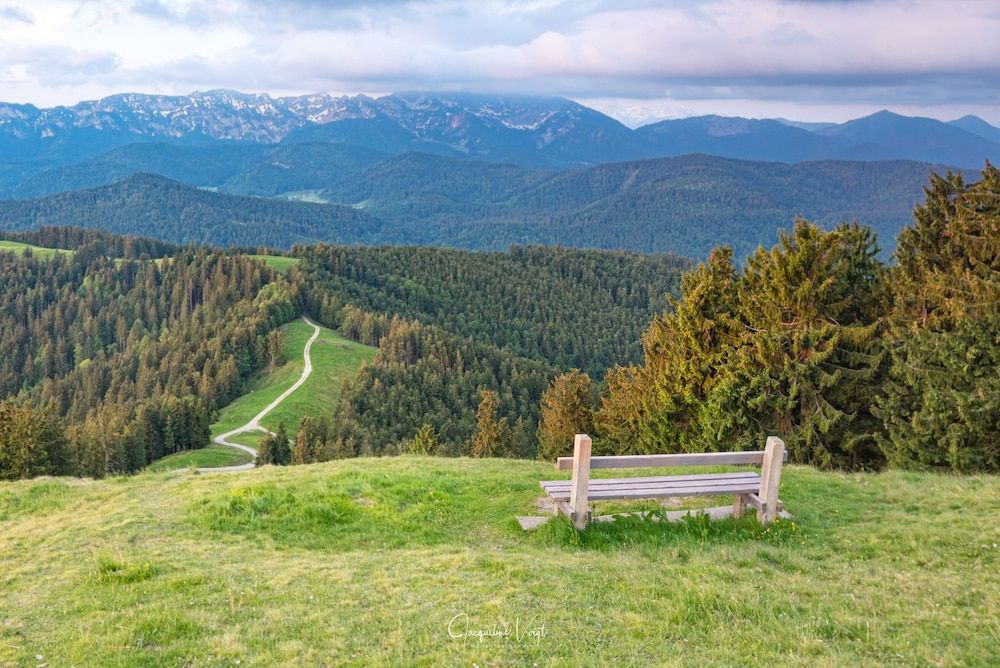 Allgemein