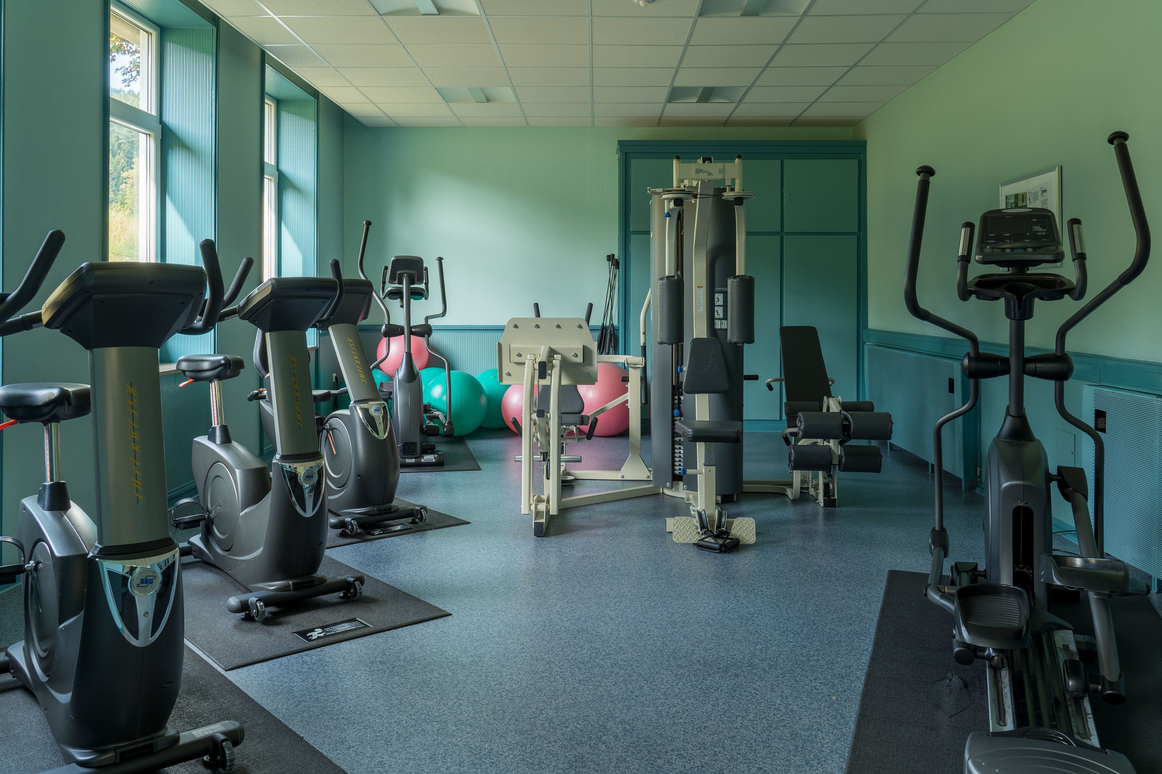 Wellness