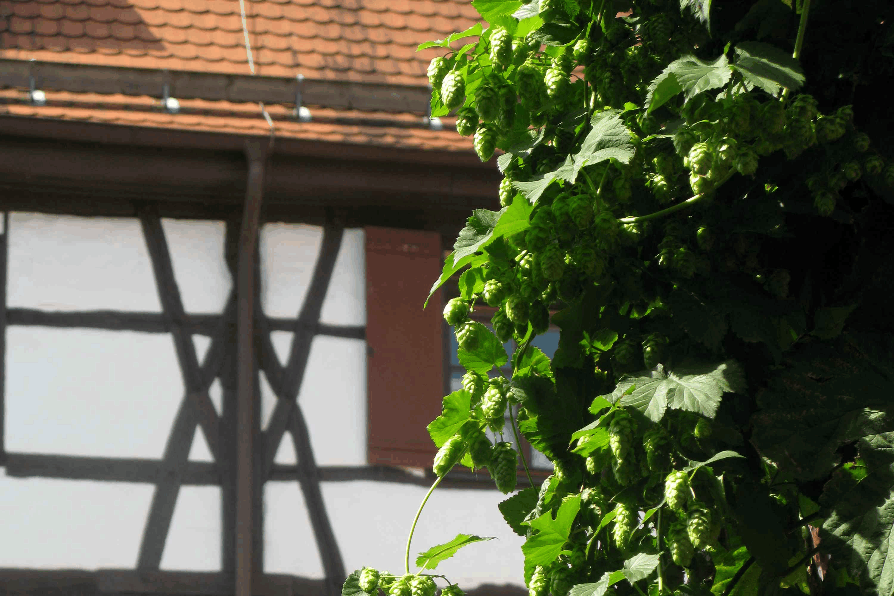 Umgebung