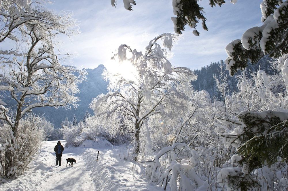 Allgemein