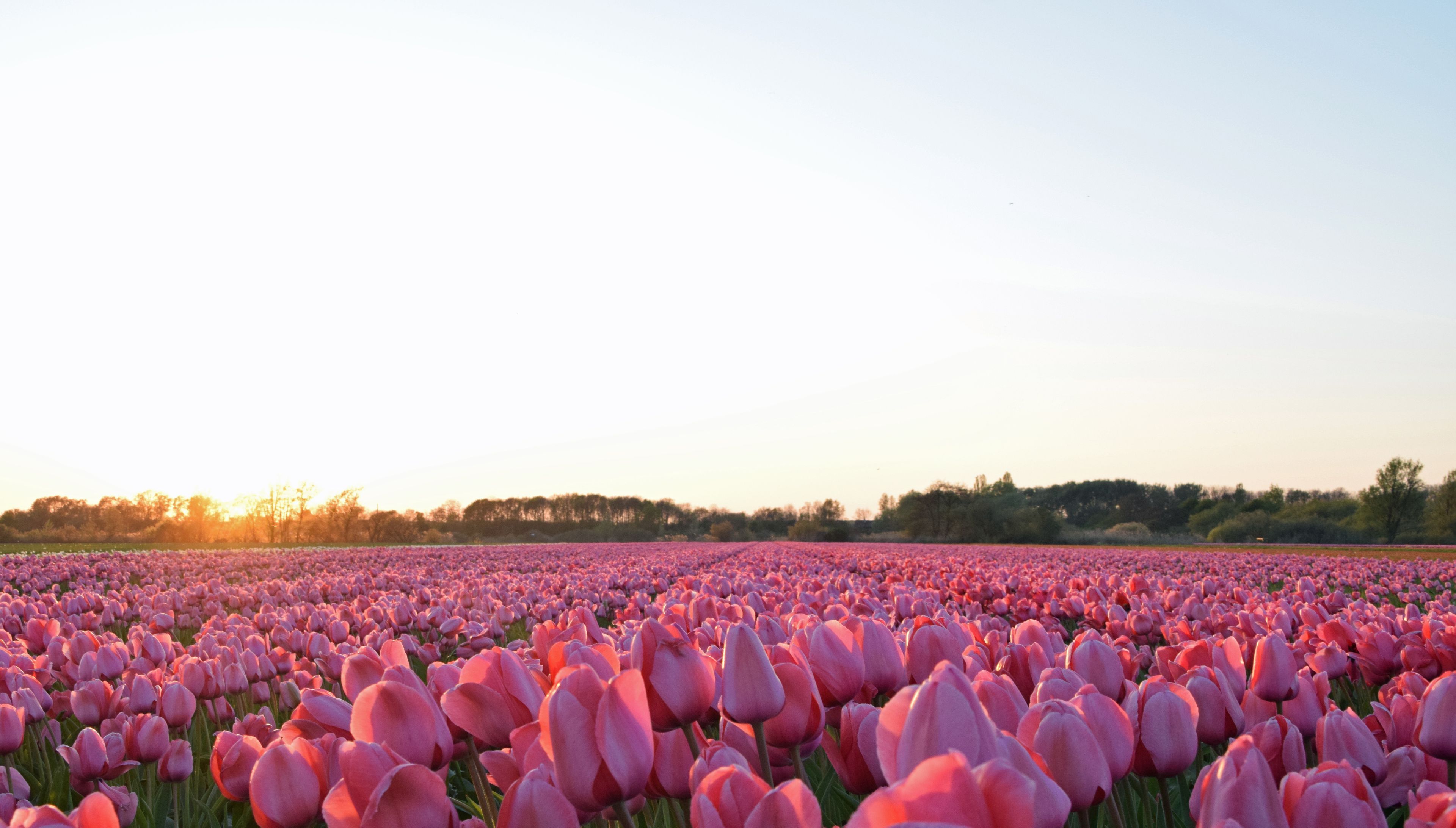 Umgebung