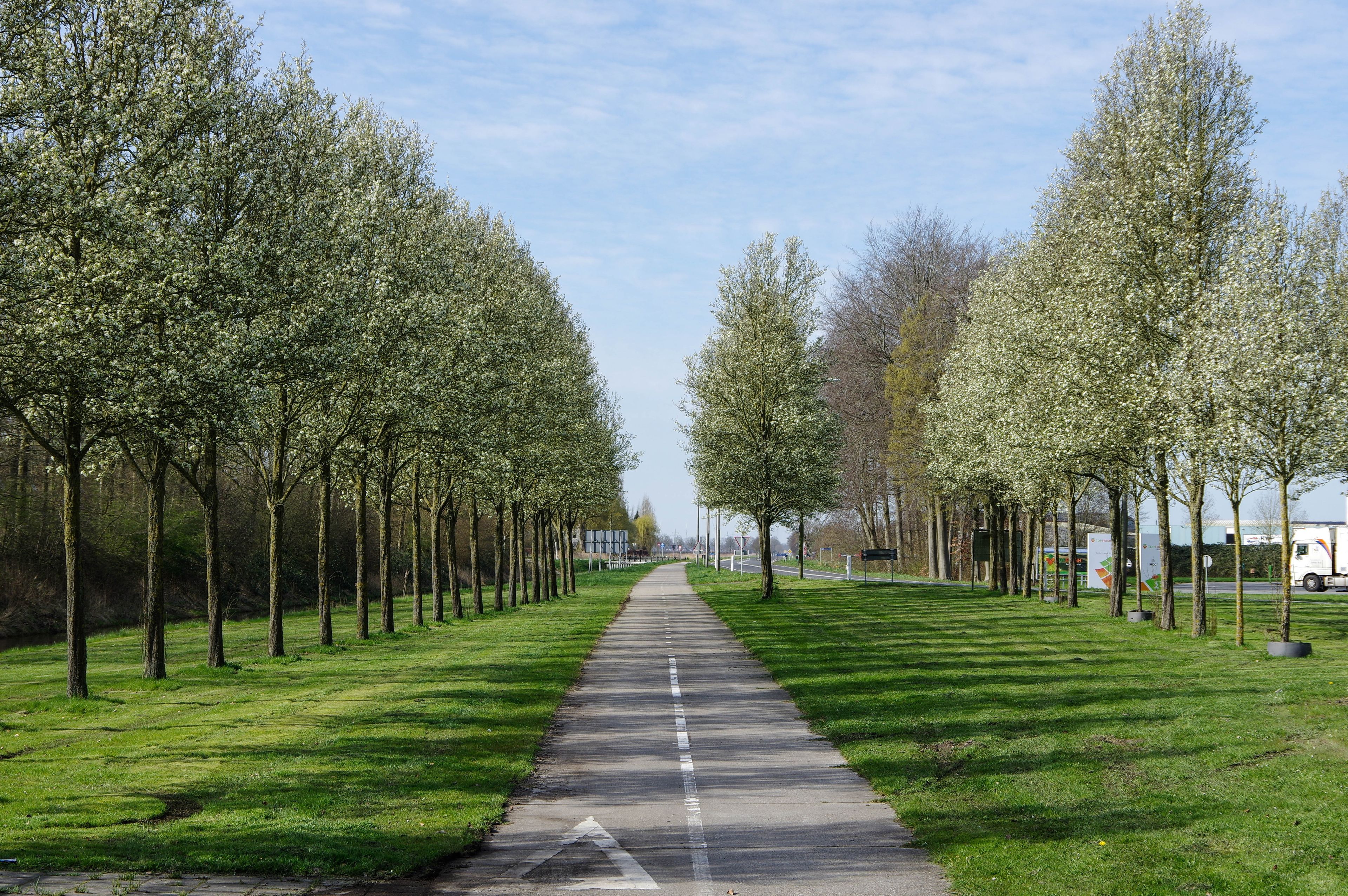 Umgebung