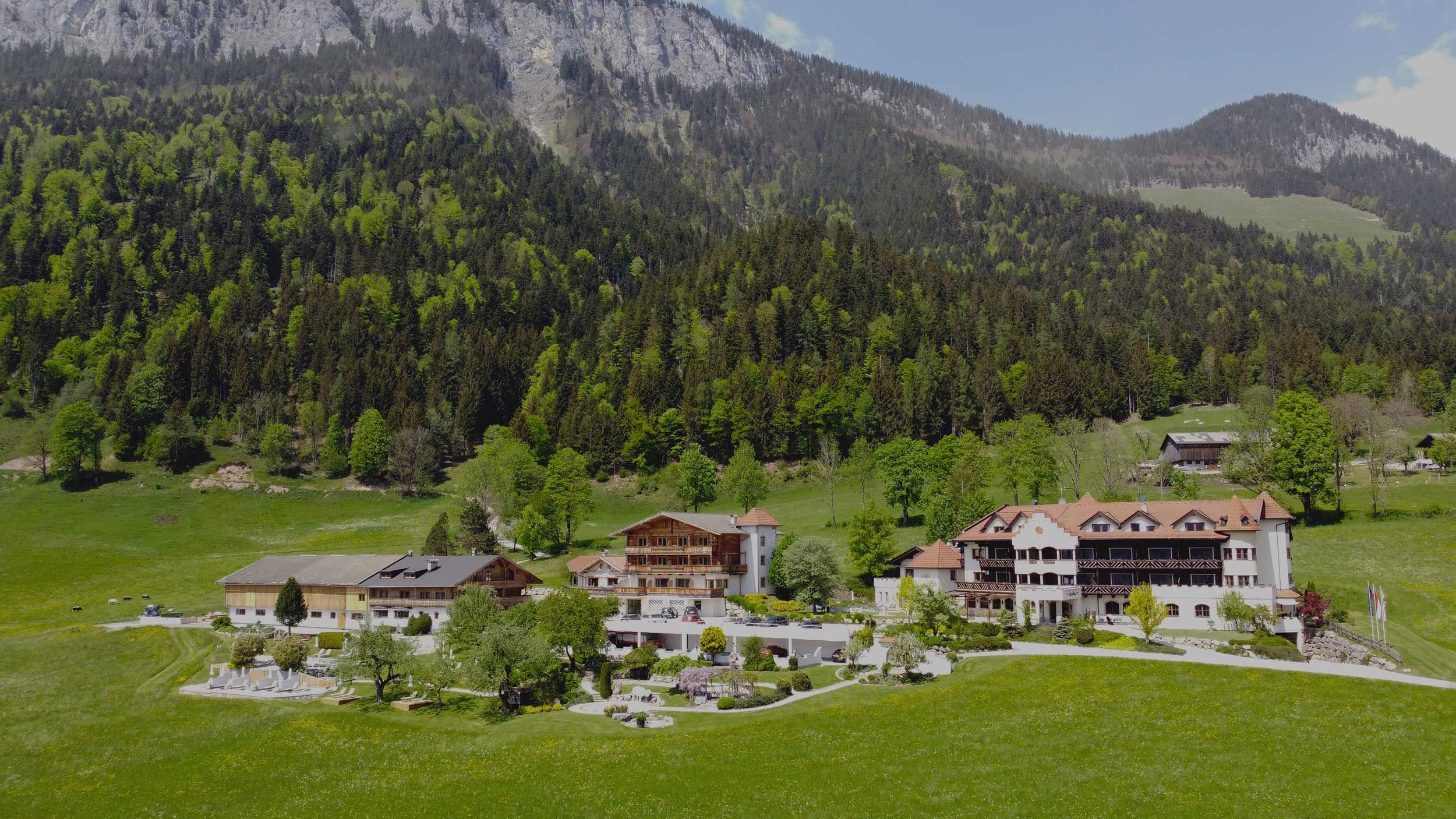 Hauptbilder