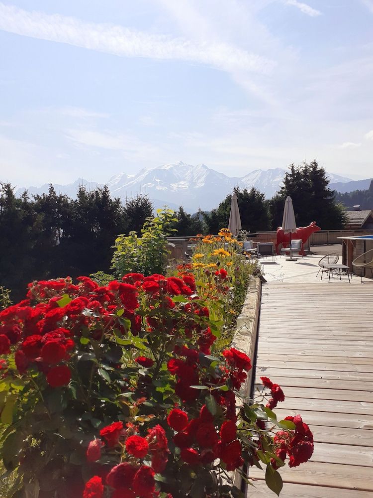 Allgemein