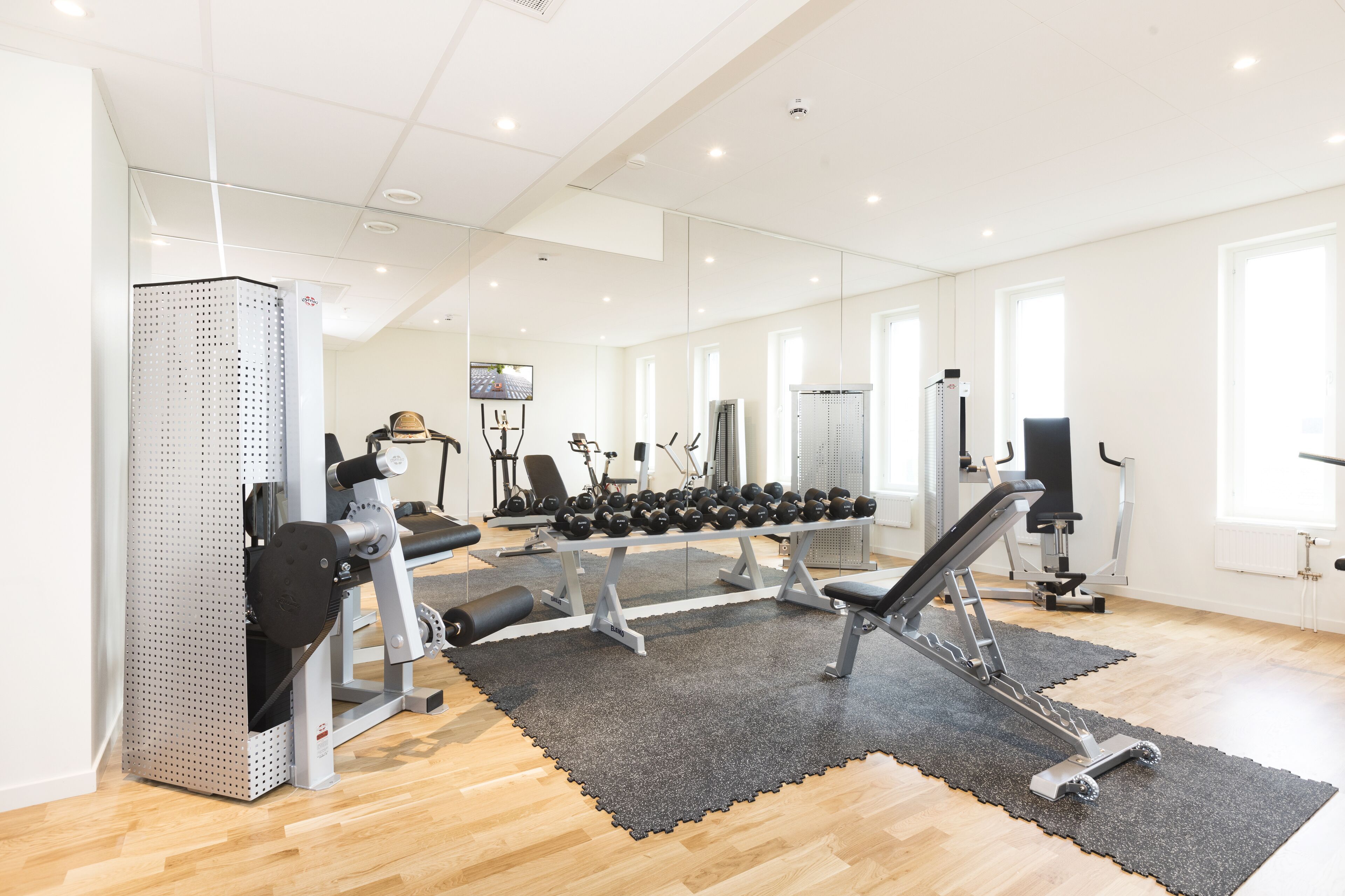 Wellness