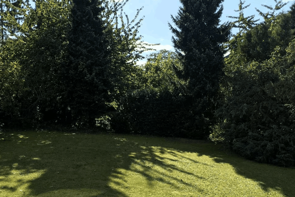 Umgebung