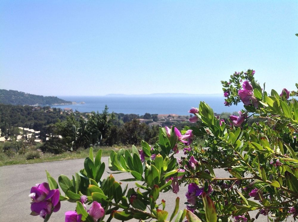 Allgemein