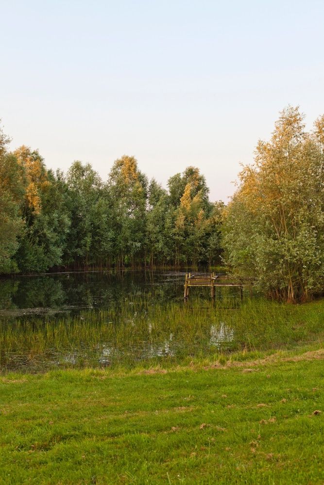 Allgemein
