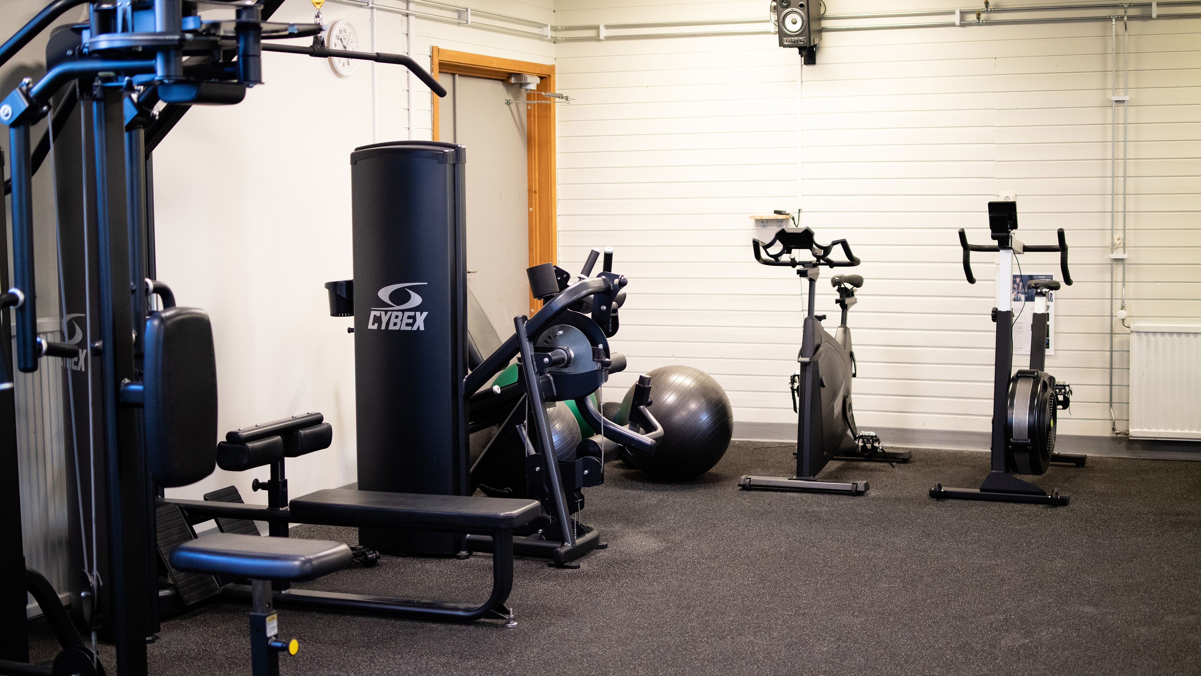 Wellness