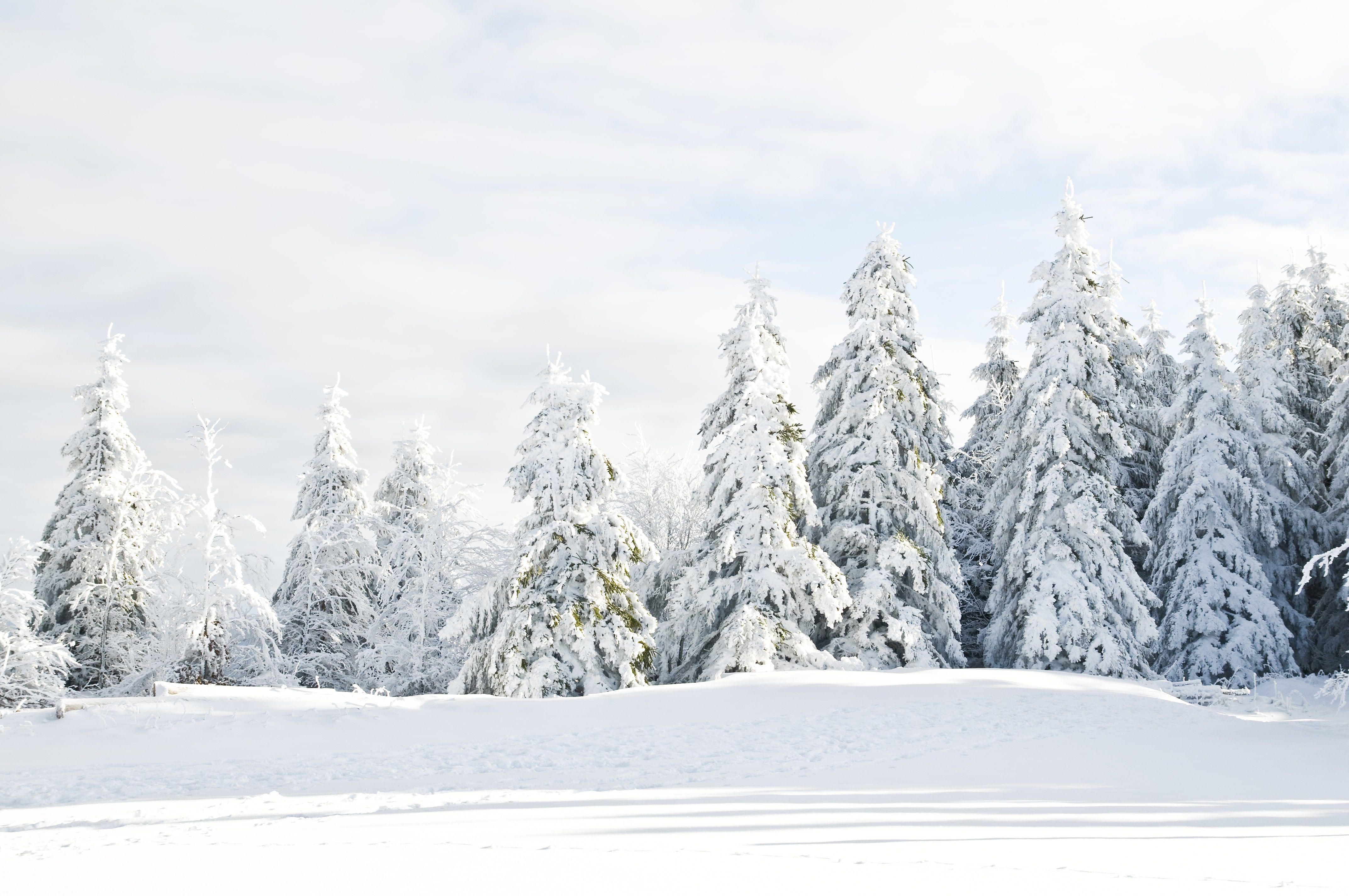 Top 5 Aktivitäten in Winterberg