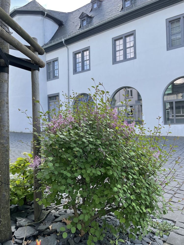 Allgemein