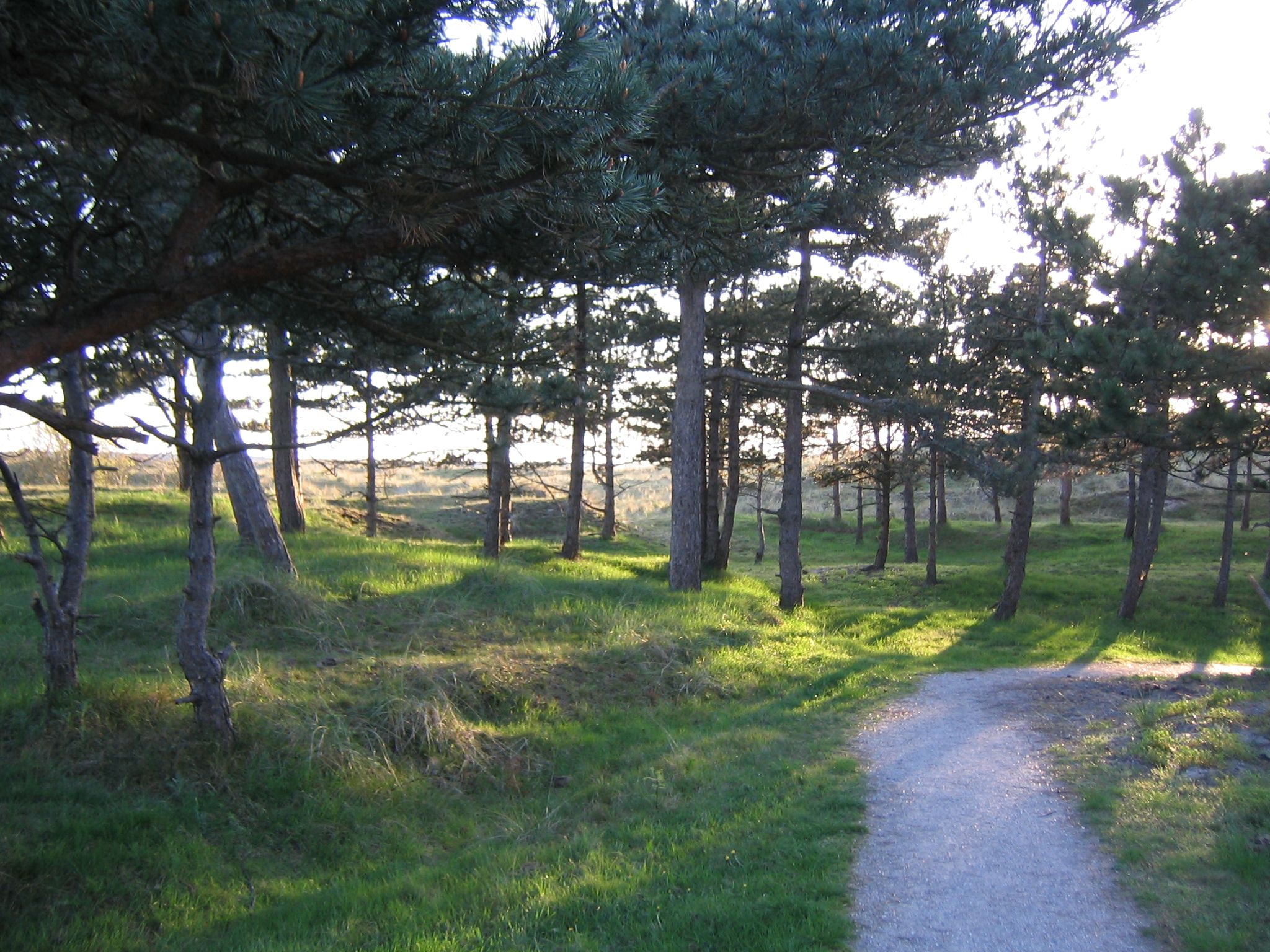 Umgebung