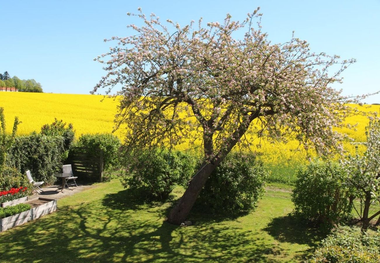 Umgebung