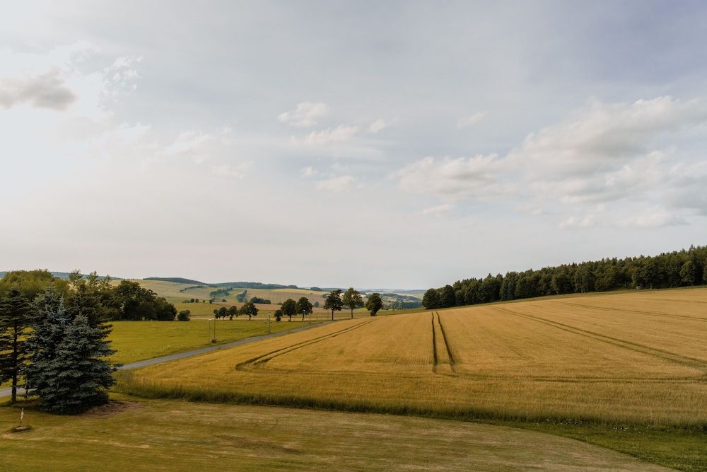 Allgemein