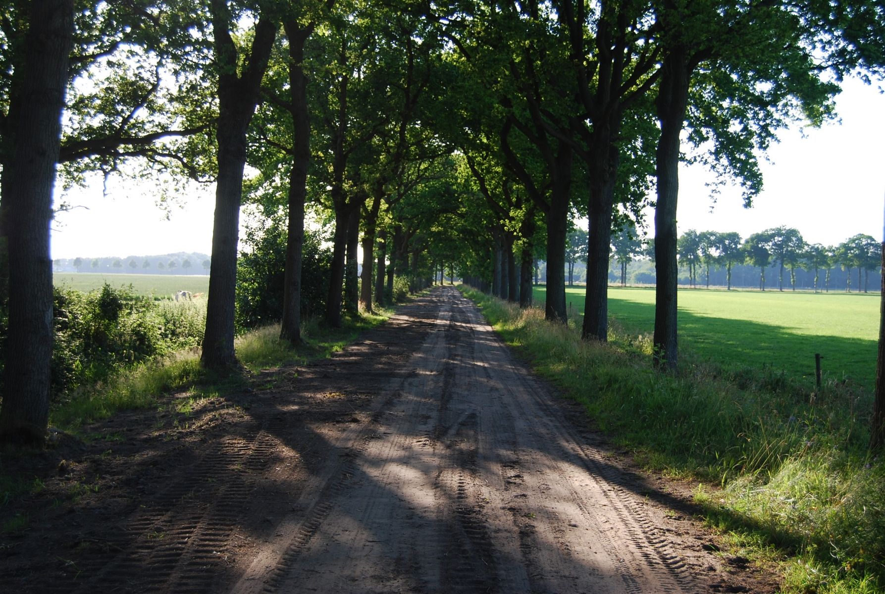Umgebung