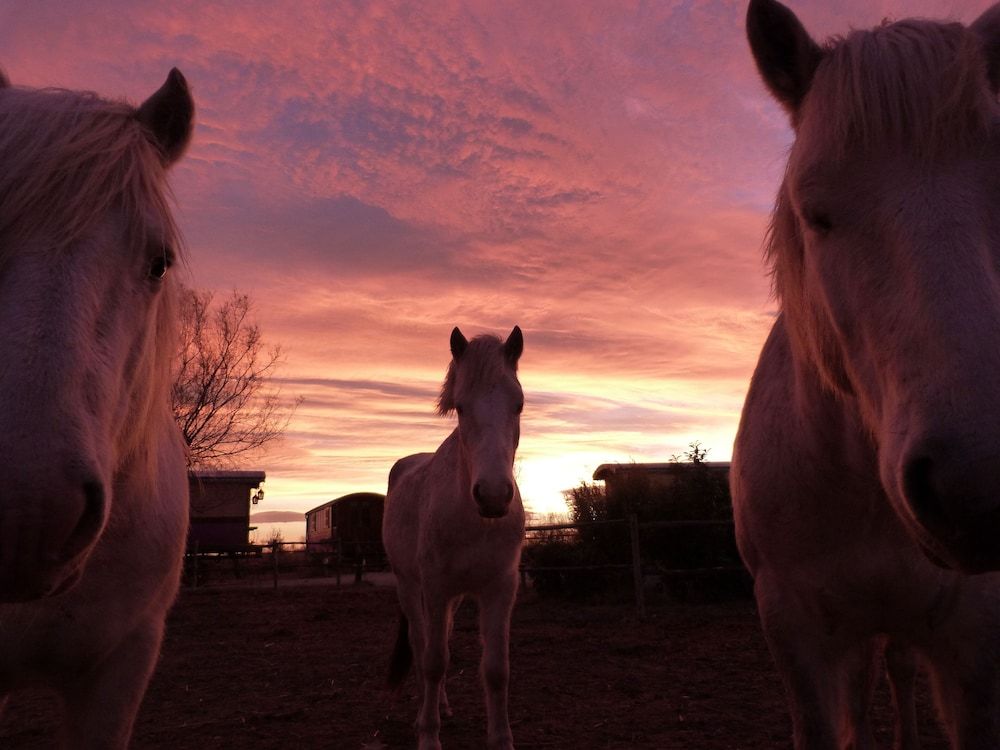 Allgemein