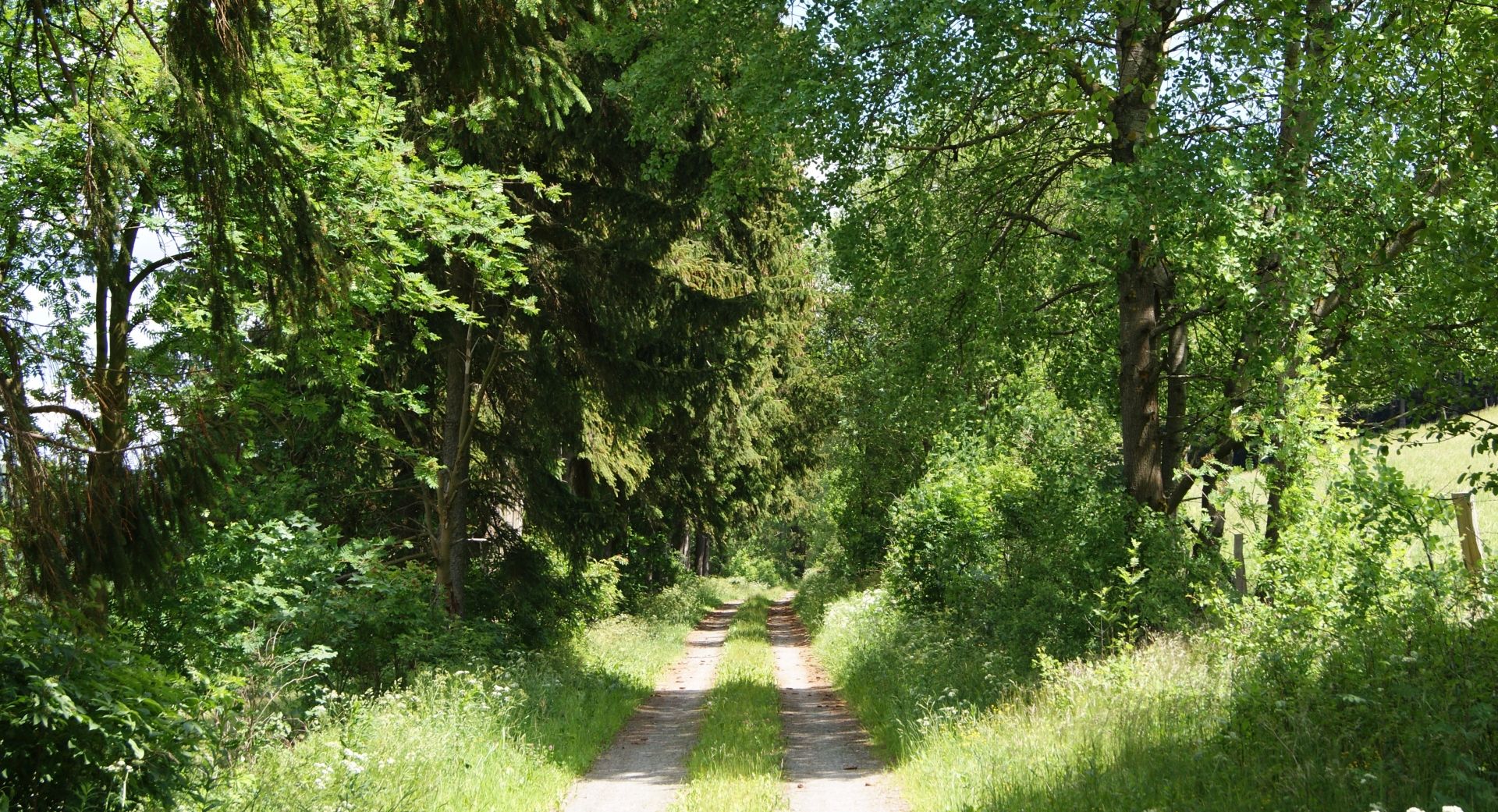 Umgebung
