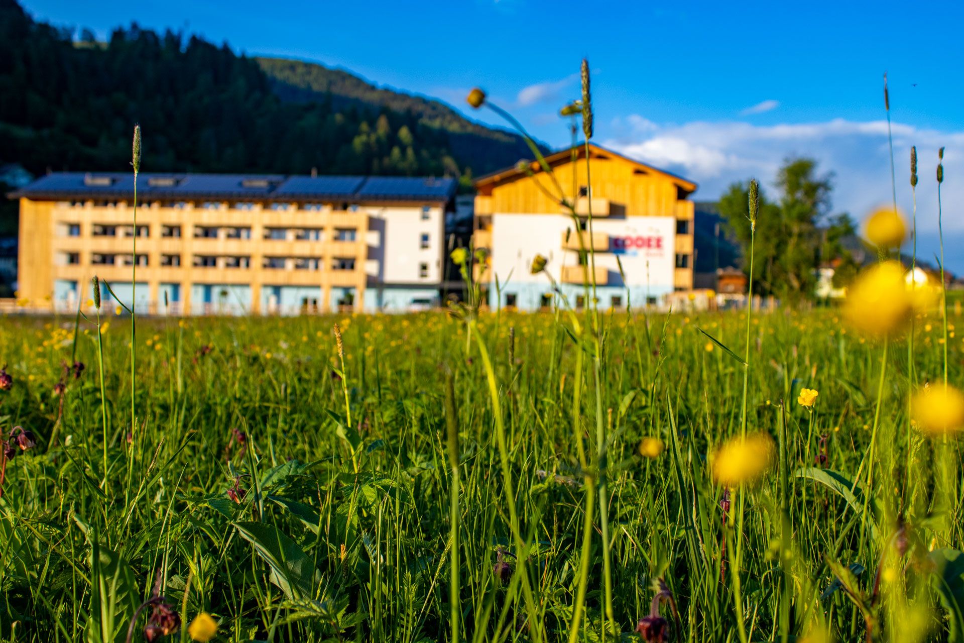 Umgebung