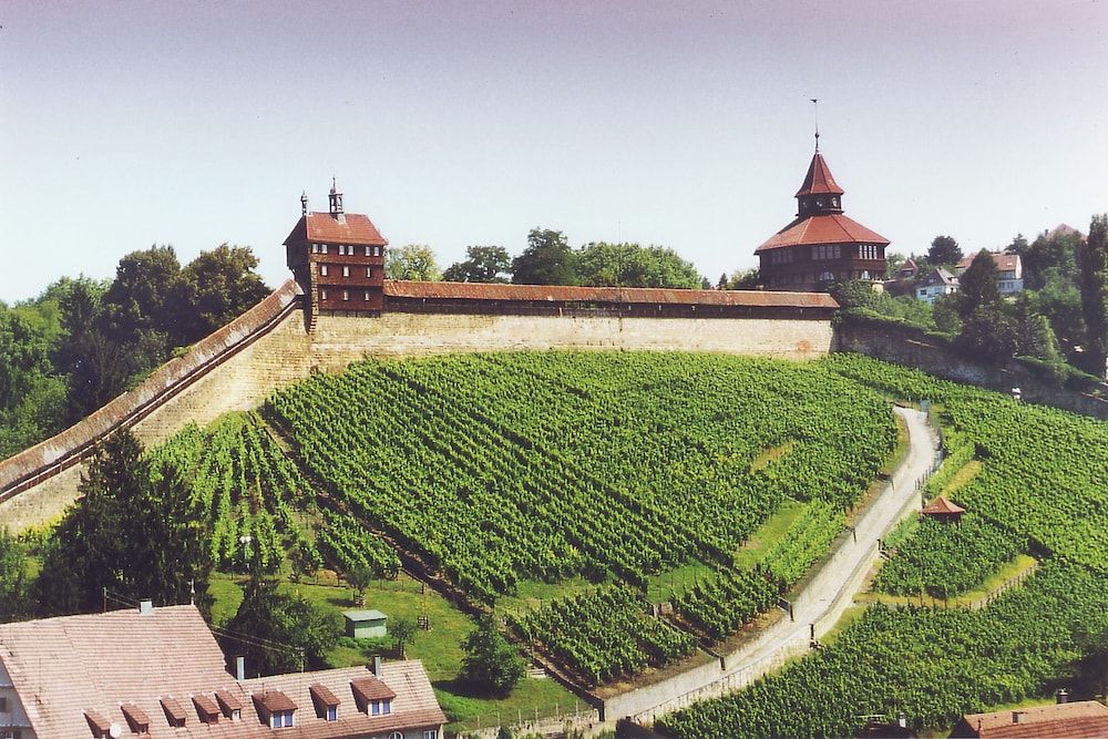 Allgemein