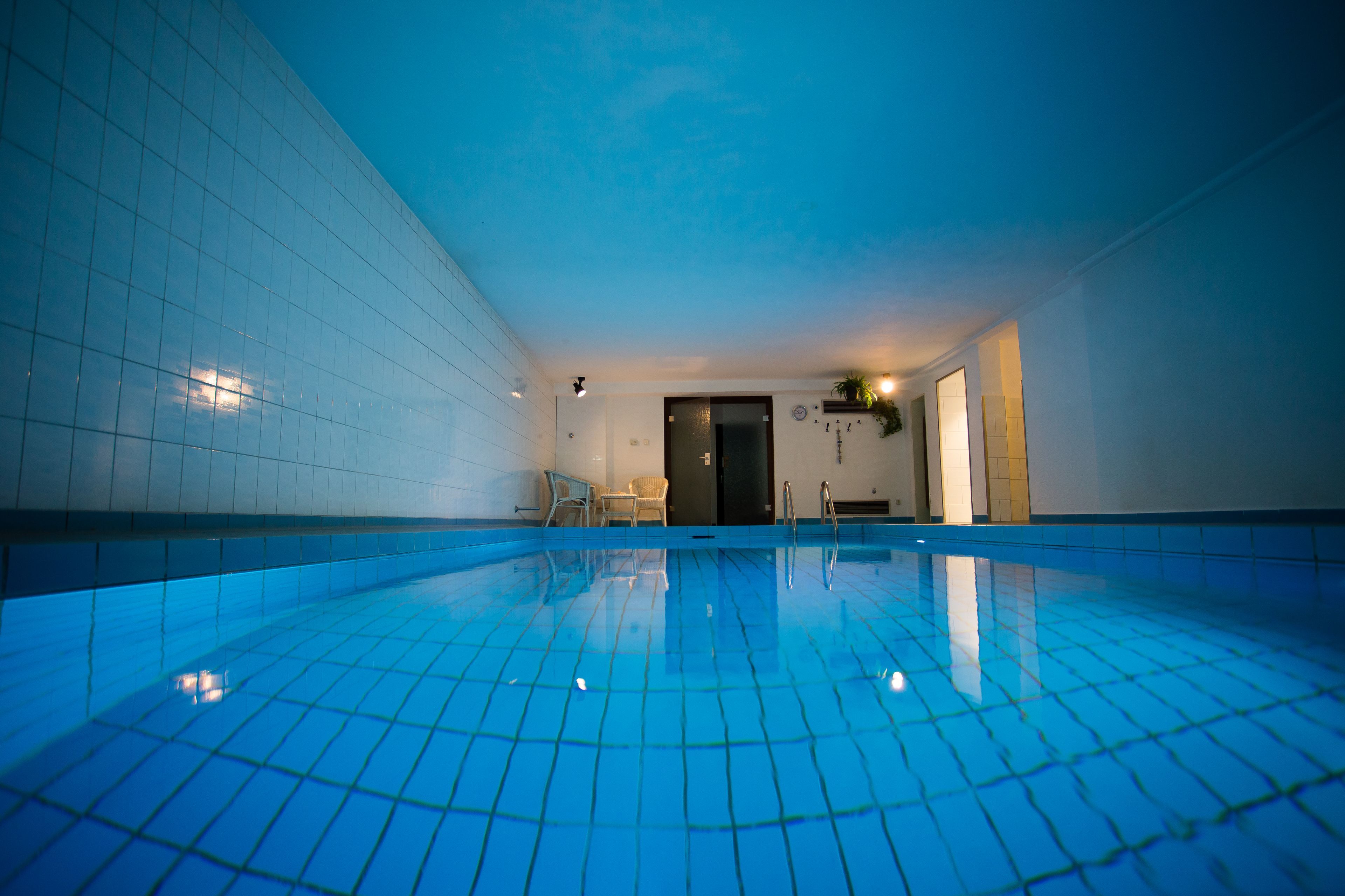 Wellness