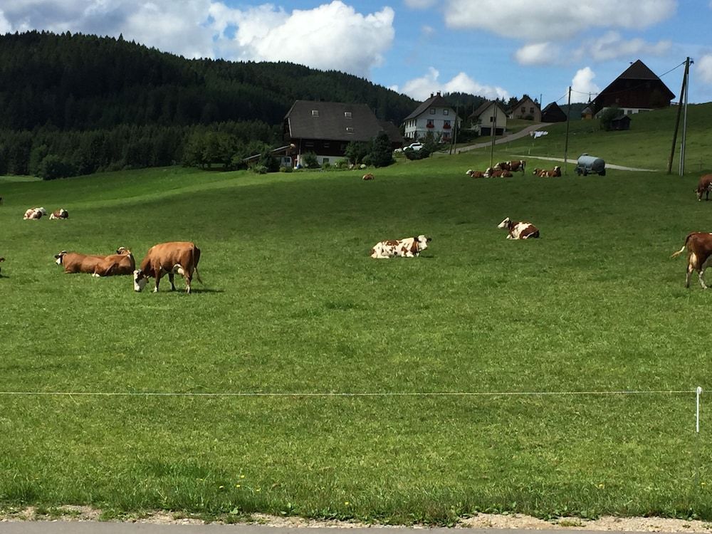 Allgemein