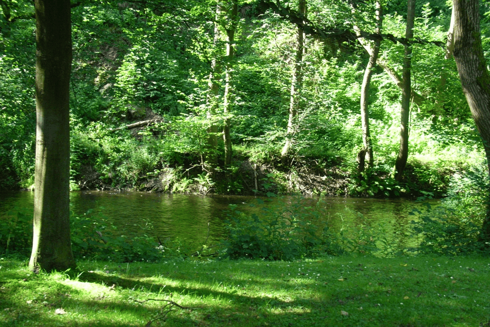 Umgebung