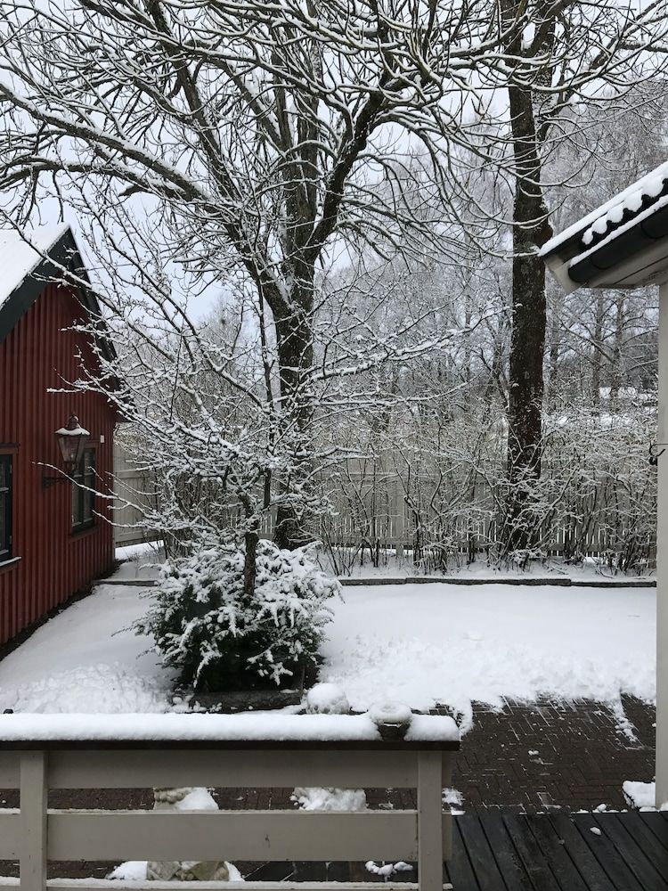 Allgemein