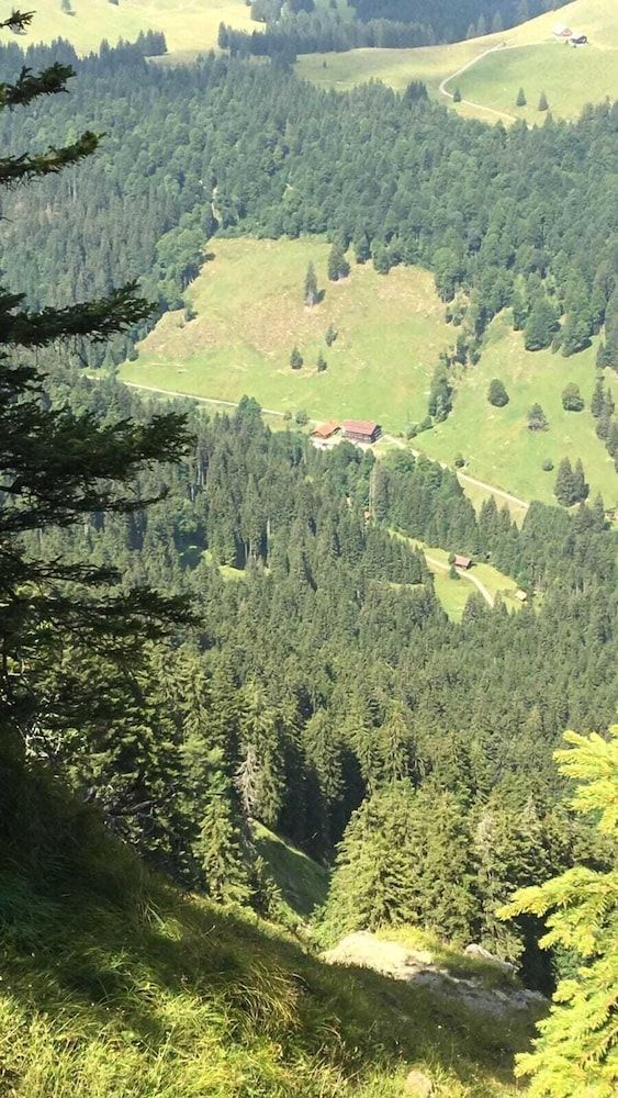 Allgemein