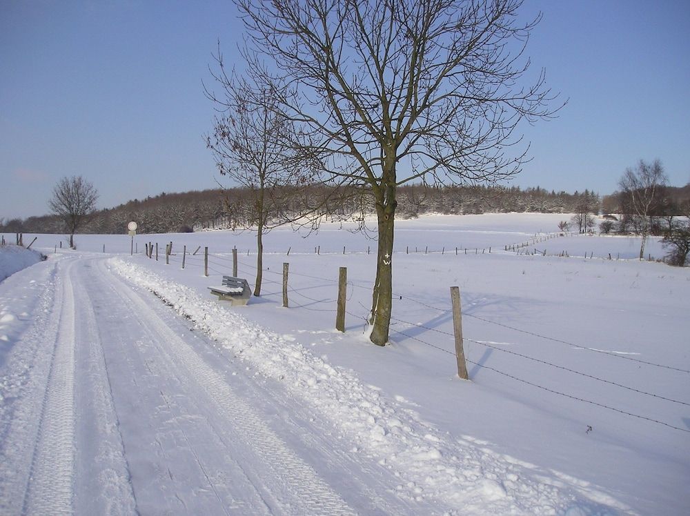 Allgemein