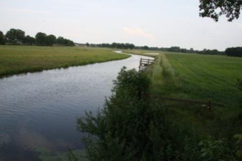 Umgebung