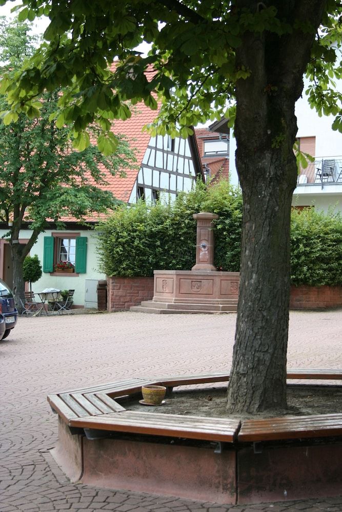 Allgemein