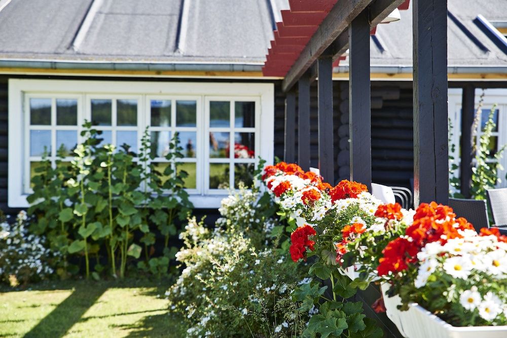 Allgemein