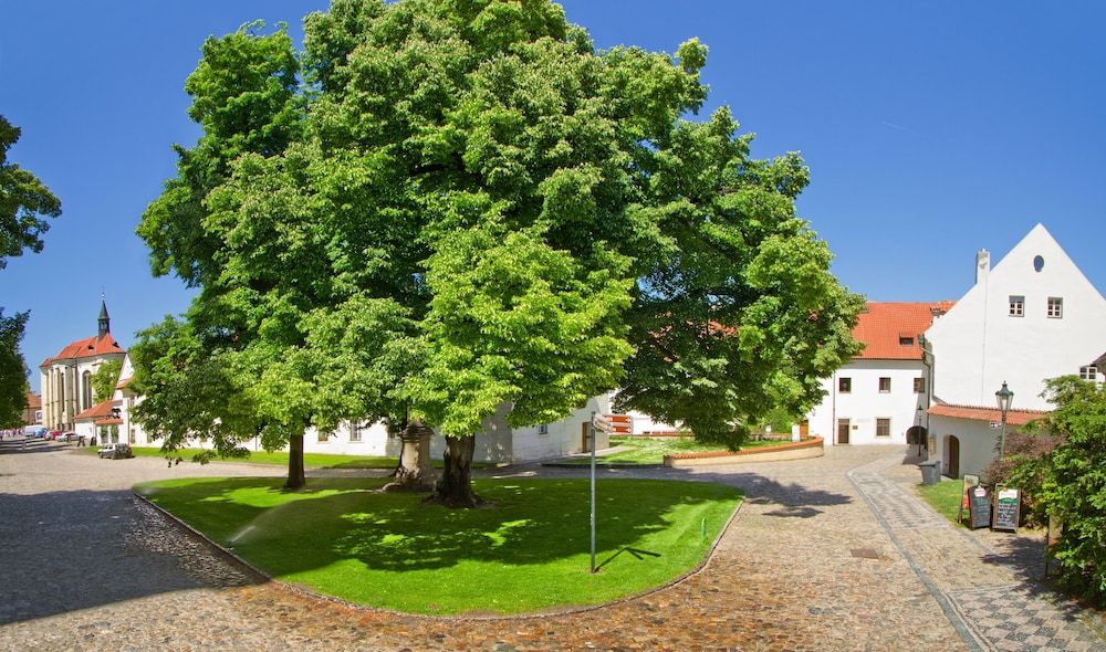 Allgemein